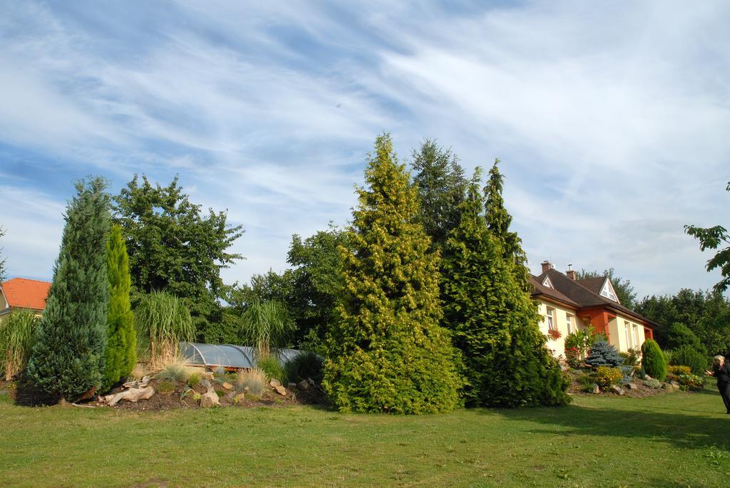 Ubytovani Vila Sobotka Exteriör bild